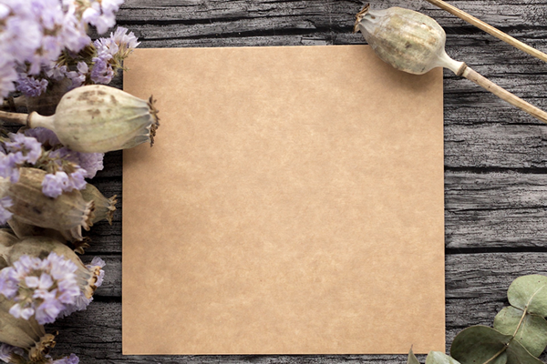 手紙や電報の歴史と日本での認識